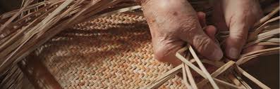 藺草編